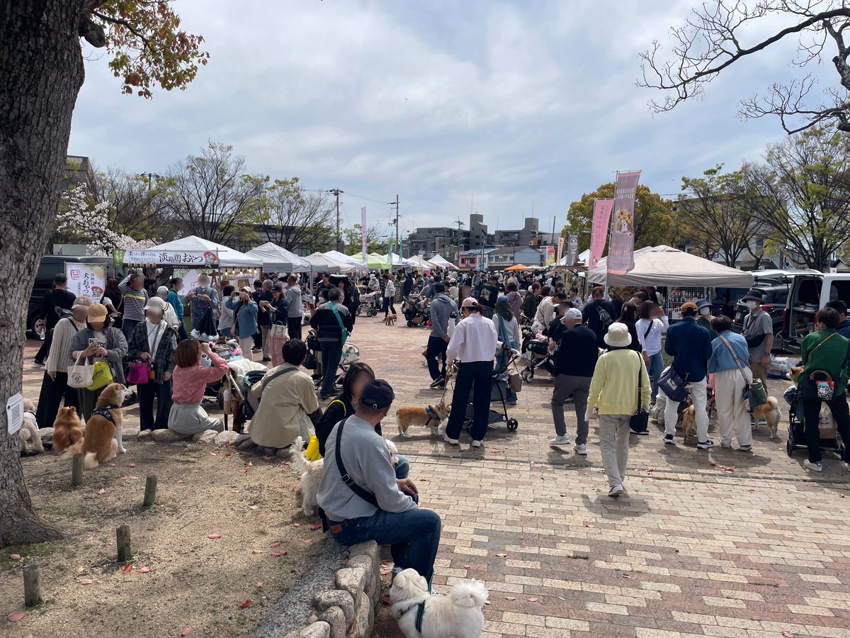門隆志 日本維新の会 兵庫県議 tweet media