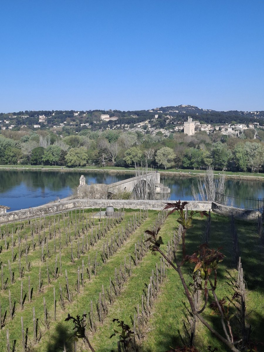 MagnifiqueFrance tweet media