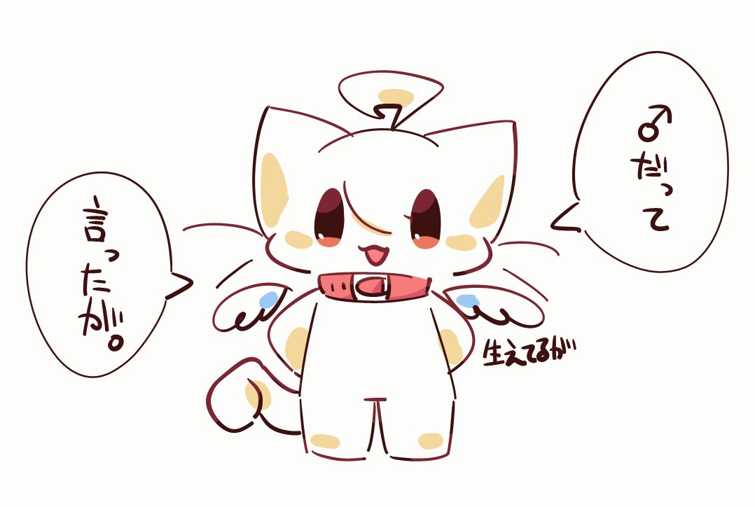 mori_nekochi's tweet photo. なんでちょっとエッチなセクハラDMくるのwww https://t.co/YiZi3gRnlM