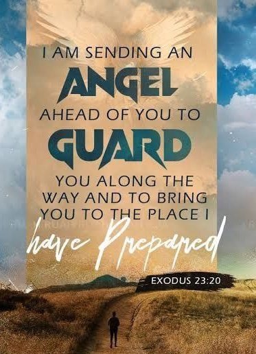 Chantel17-Dark TQ Light tweet media