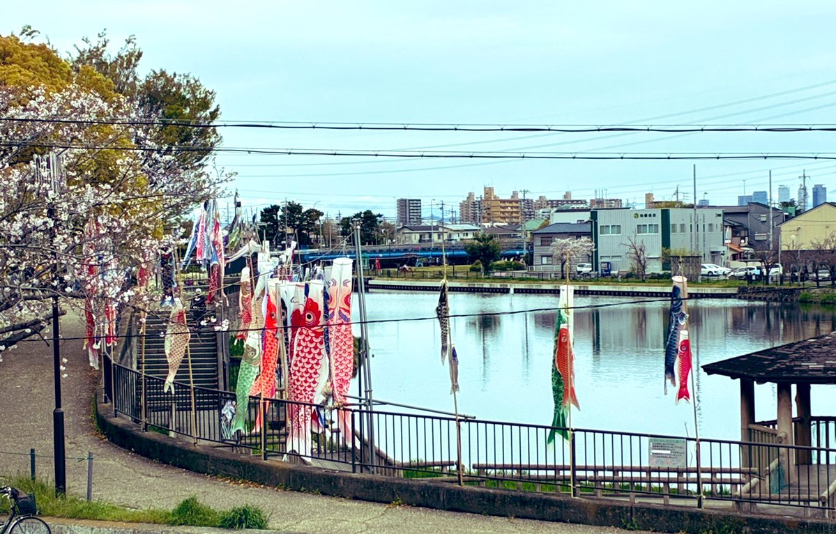 おいでよ蟹江💞いが蔵&蟹江結の「空翔ける夢」 tweet media