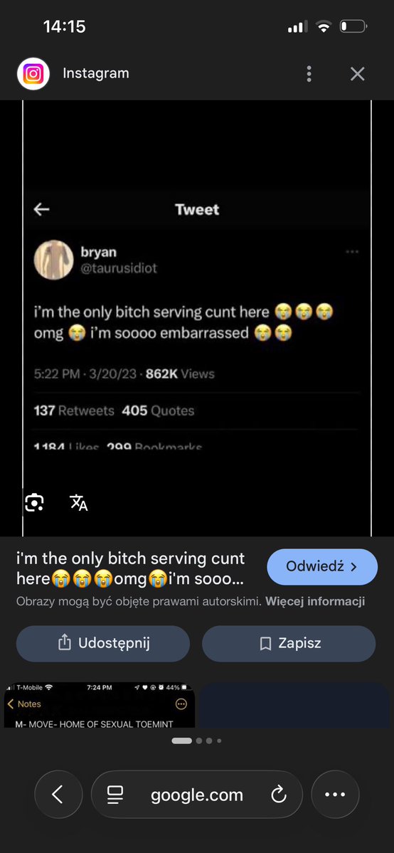 nebi ฅᨐฅ | 44 tweet media