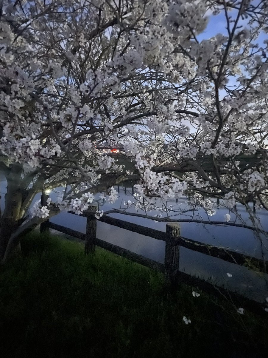 もう少し暗くなると街灯が心許ないな…