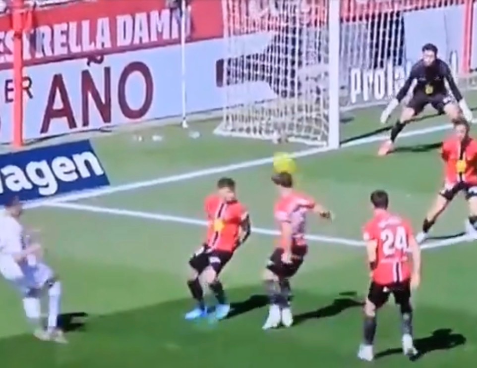 Madrid Zone tweet media