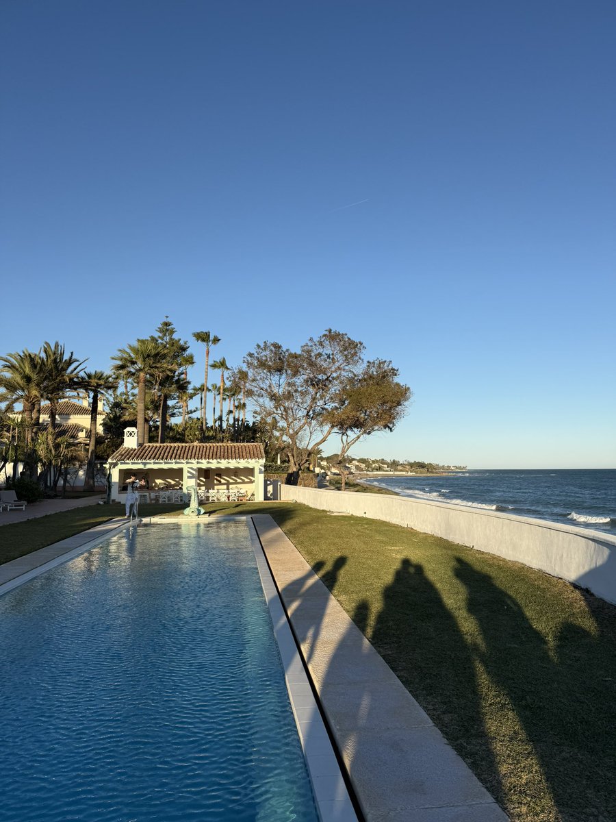 Crypto Fella tweet media