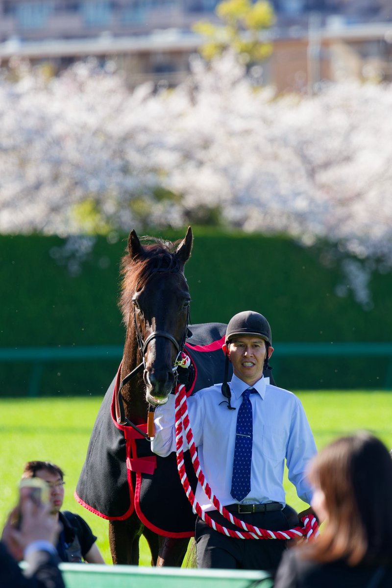 ななし tweet media