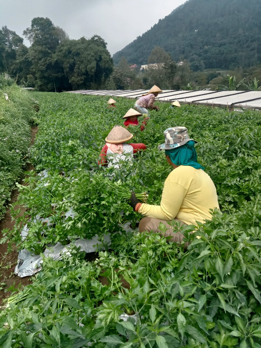 AbU JenaR tweet media