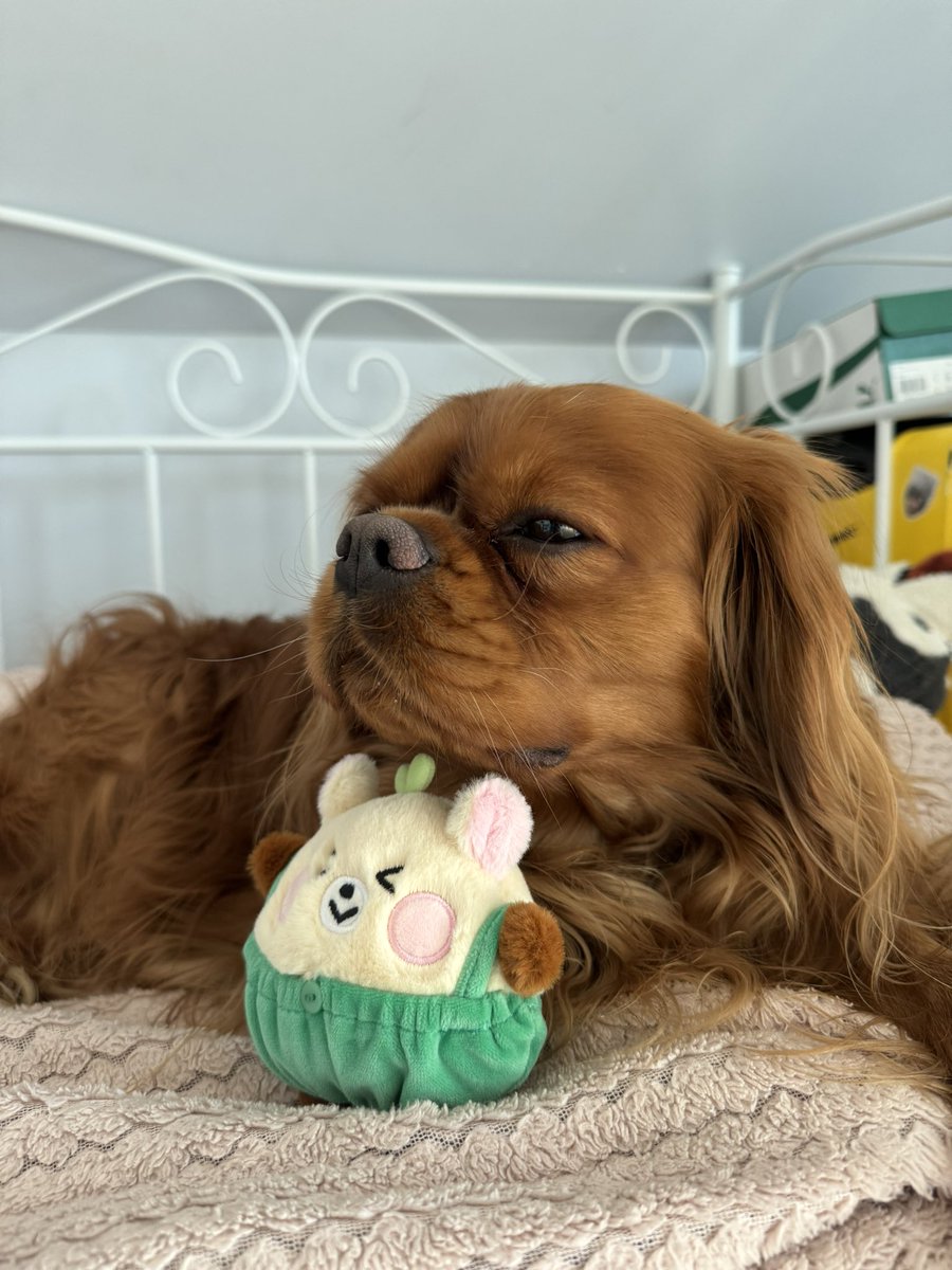 nat 🐥 tweet media