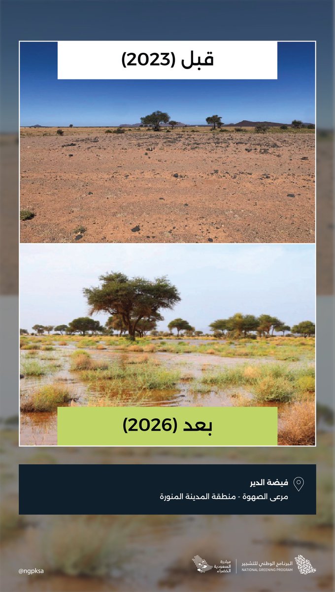 البرنامج الوطني للتشجير tweet media