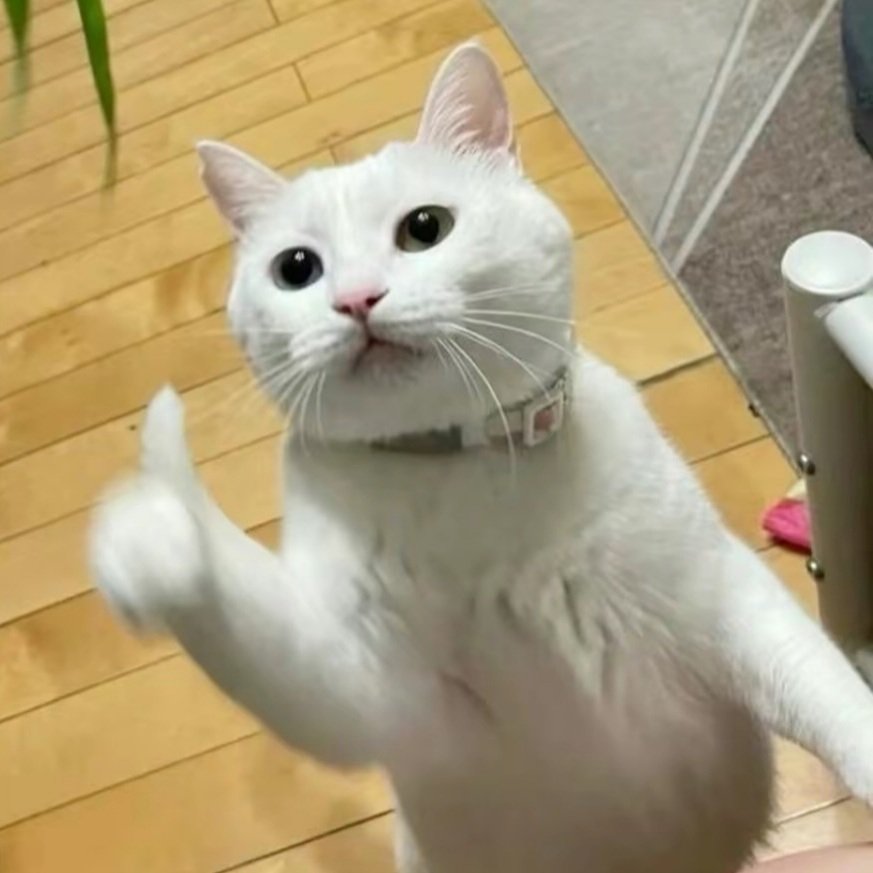 ザンガです ― Becky Pramono tweet media