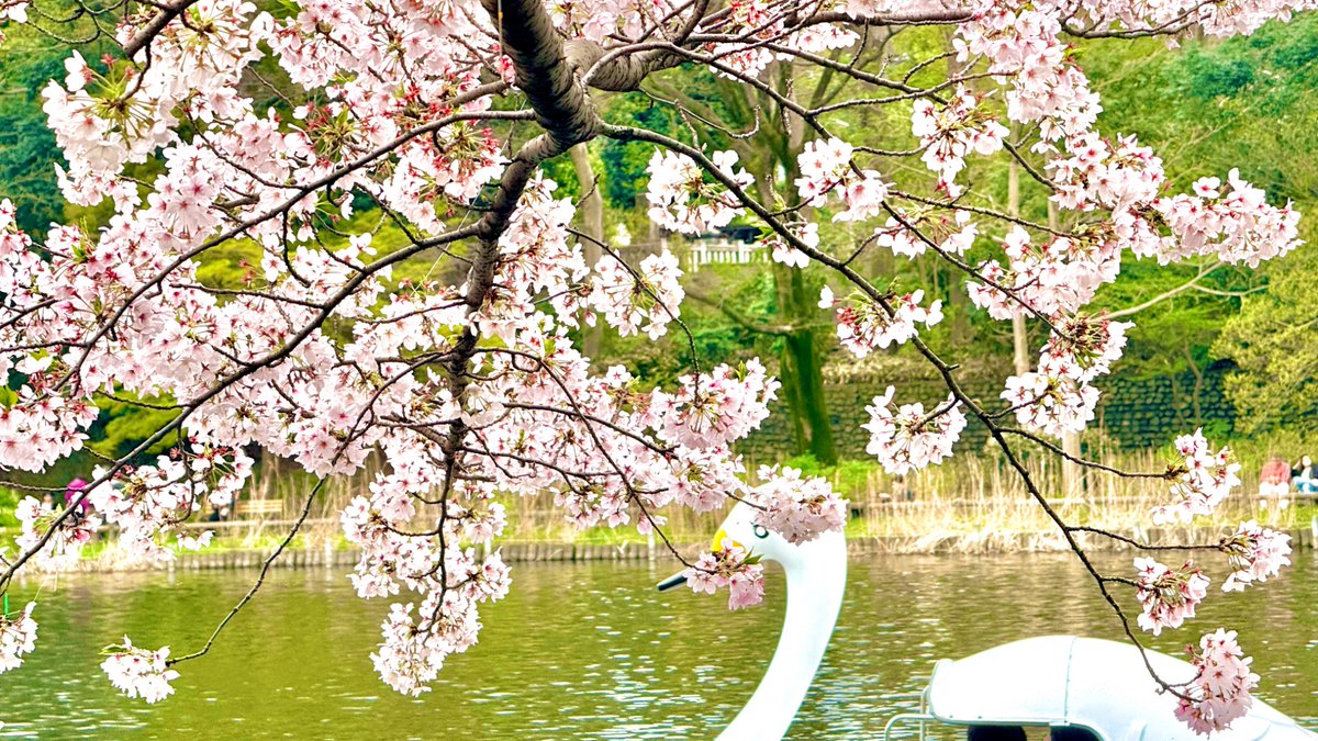 凹山 凸次郎 tweet media