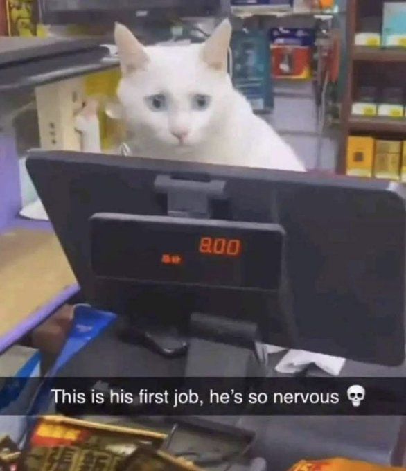 Insane Content (@onlineinsane) on Twitter photo 