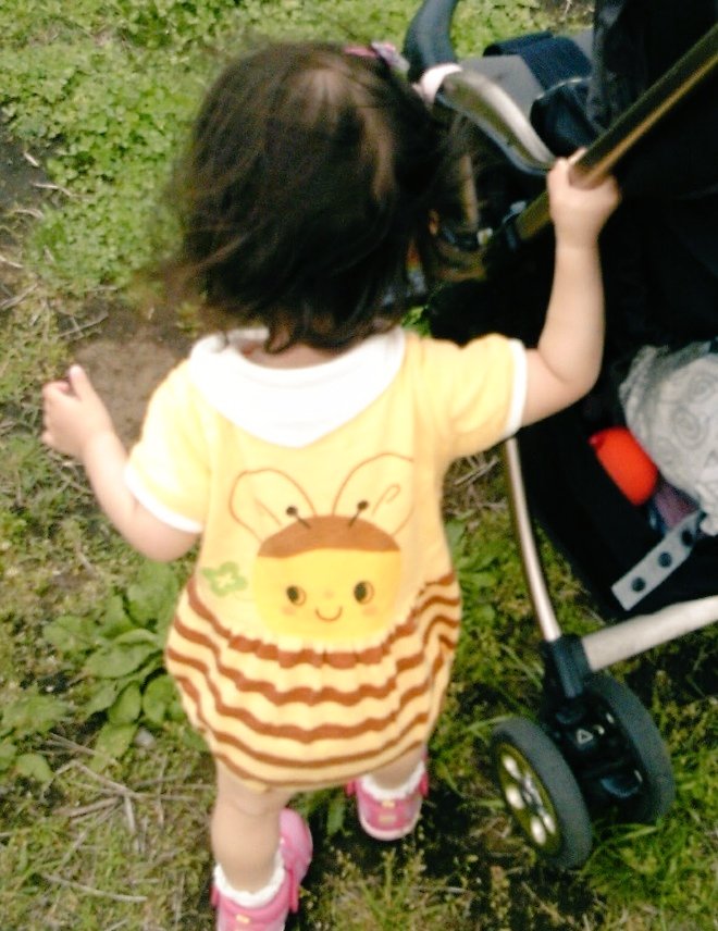 るるみん tweet media