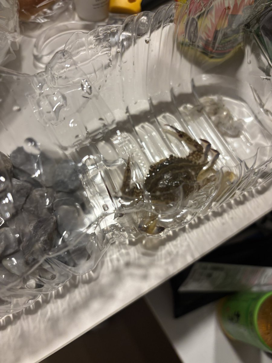 田中太郎 tweet media