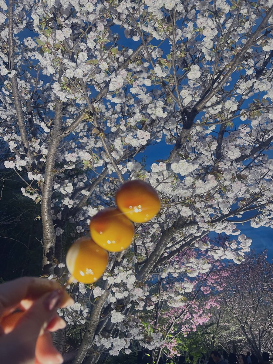 烏井つきなみ🐦⬛ tweet media