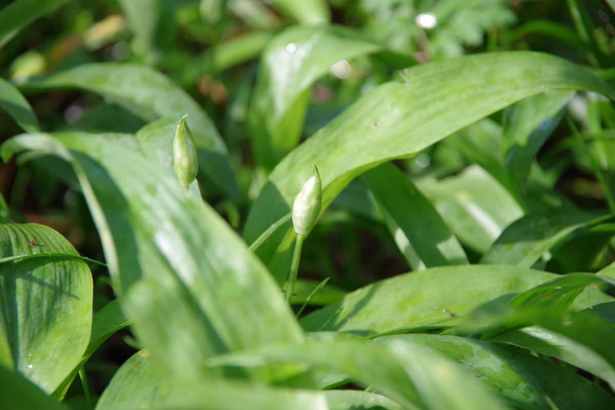 Yumi Mihara tweet media