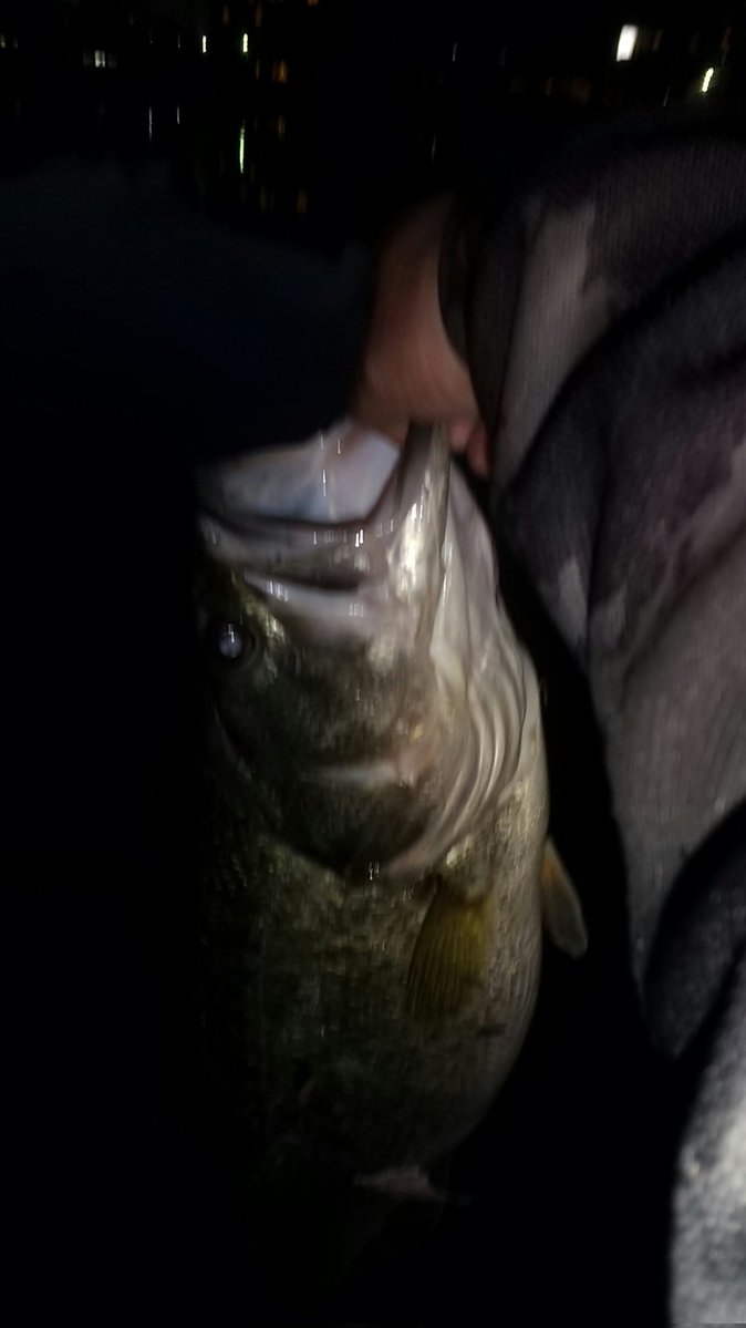 みっちゃん tweet media