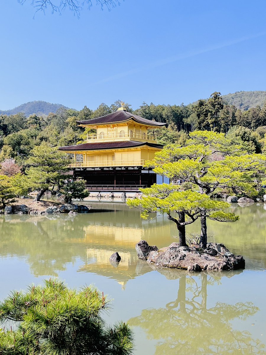 日々89 tweet media