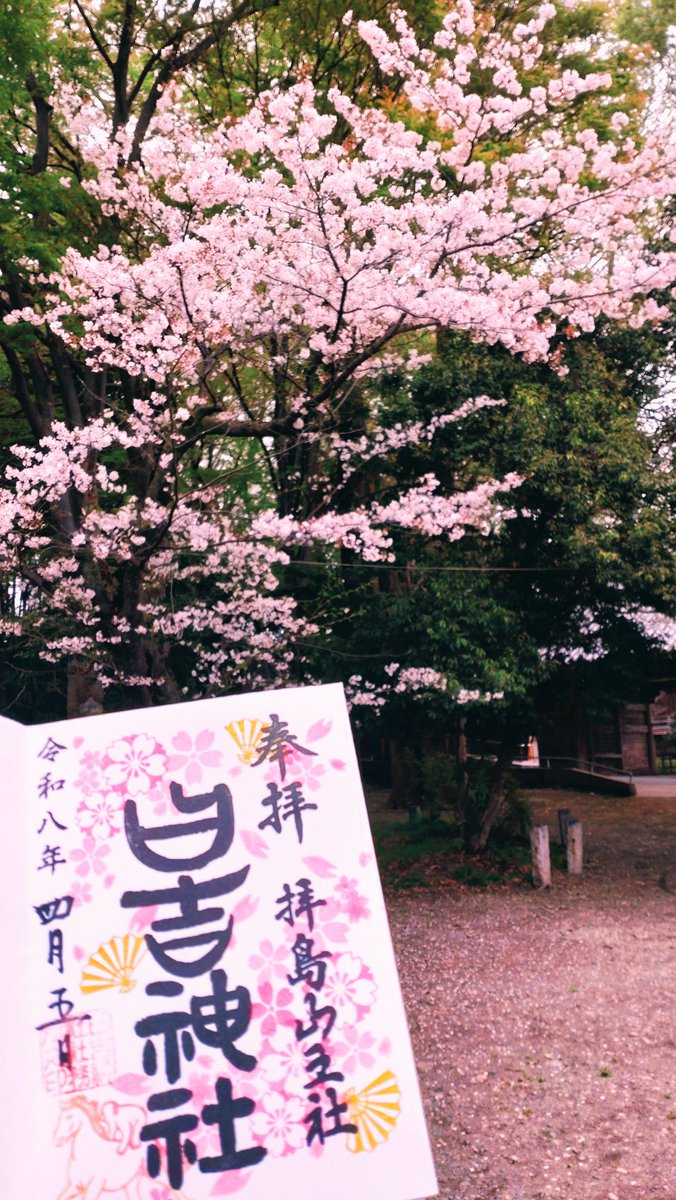 mini_masa's tweet image. #日吉神社　⛩️　定期参拝
#卯月　#MINIのある風景
#御朱印　#桜舞