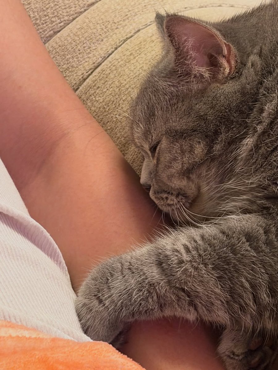 ♡。ꈍ◡ꈍ 𝐜𝐨𝐨𝐥𝐤𝐢𝐝𝐬𝟗𝟖𝐬 🌼🌸 tweet media