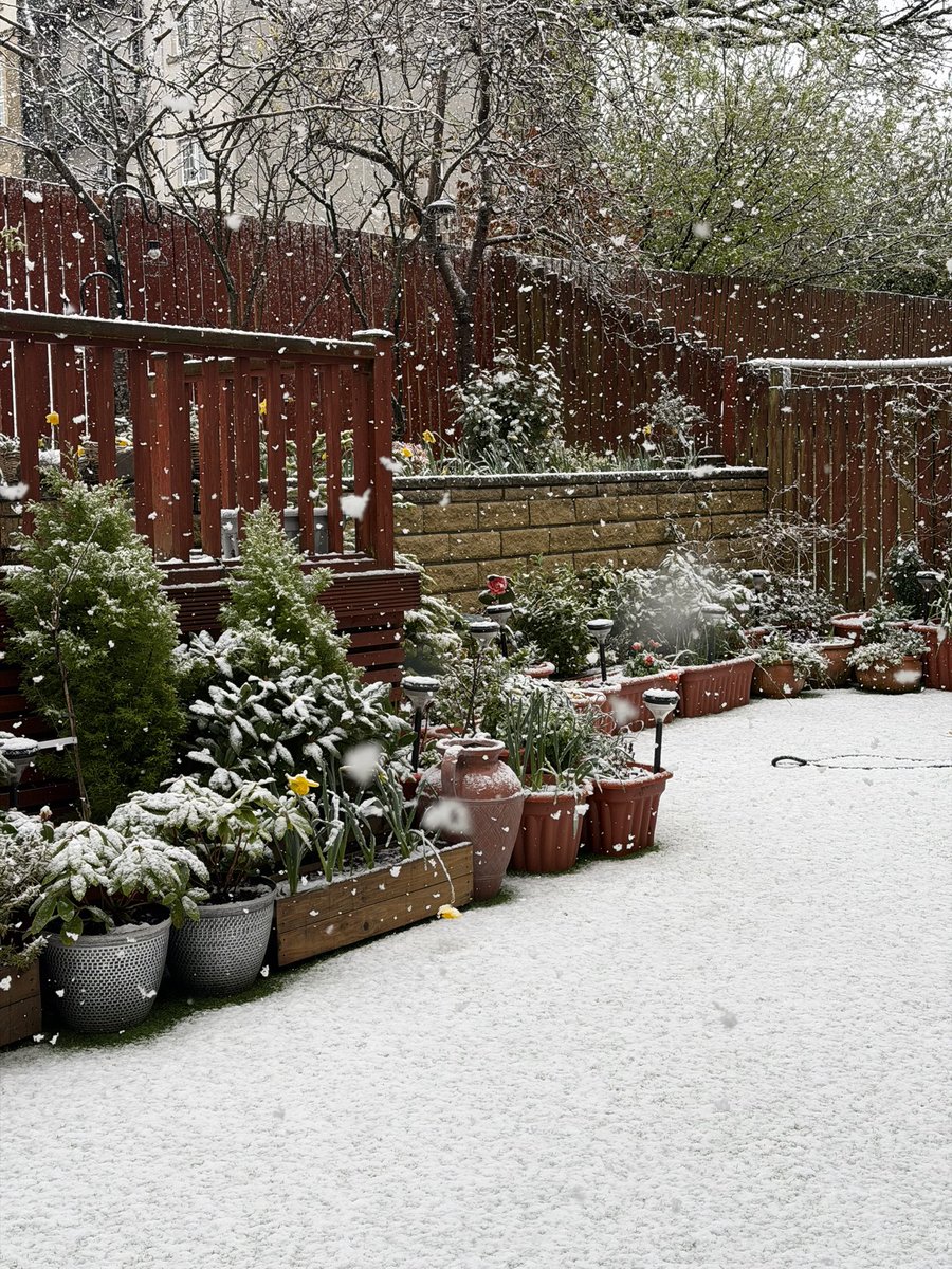 AbhaPaulina's tweet image. The first snow ❄️ of the season in Glasgow . Happy Easter ✨ #Snow #Glasgow @VisitScotland @VisitBritain @bbcweather @BBCWthrWatchers