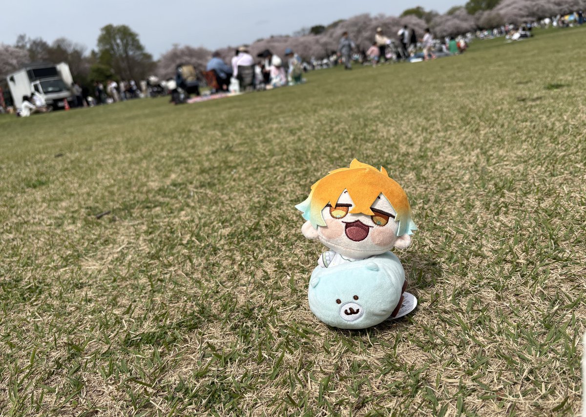 みょん tweet media