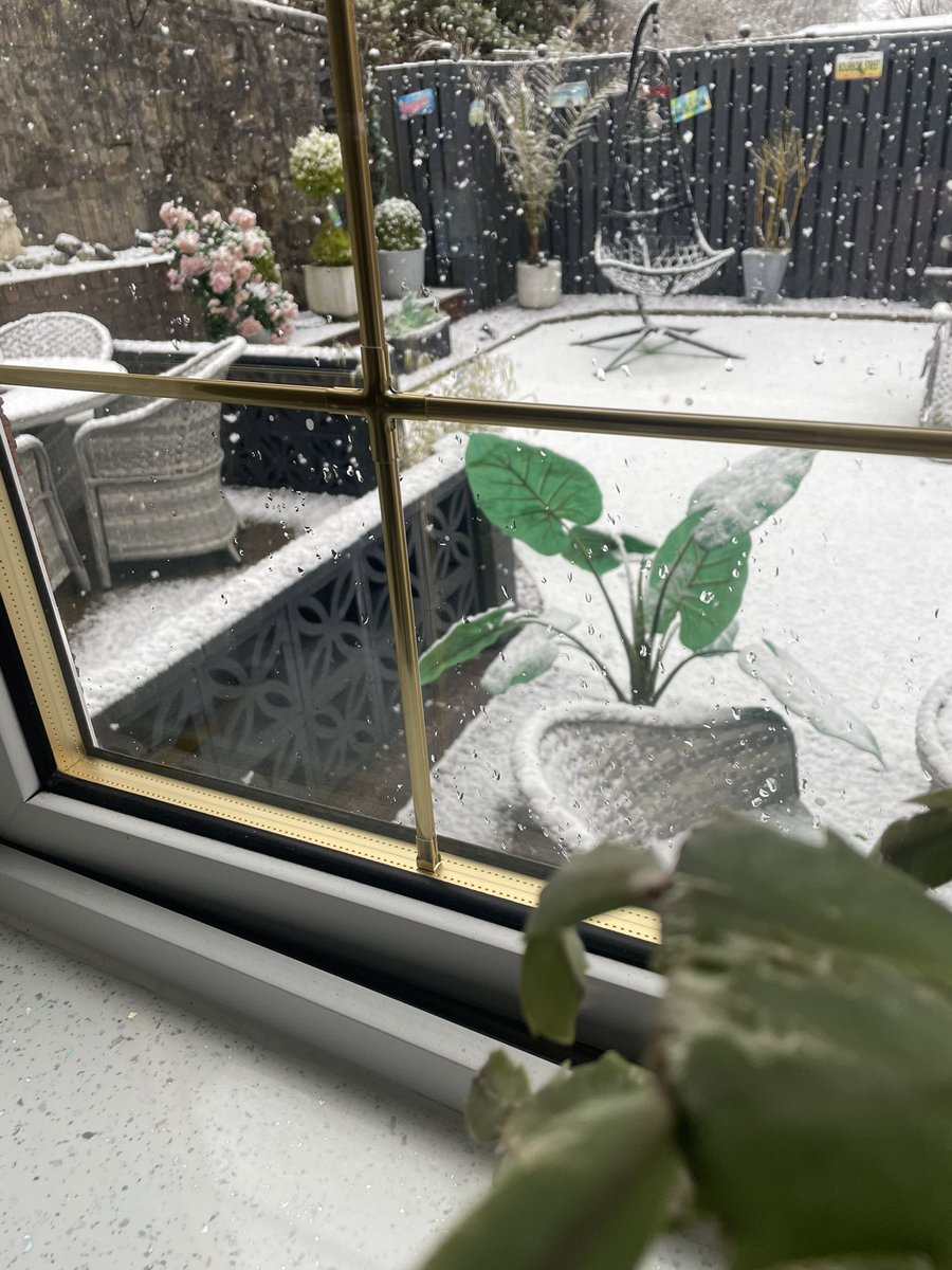 BigBhoy1888 tweet media