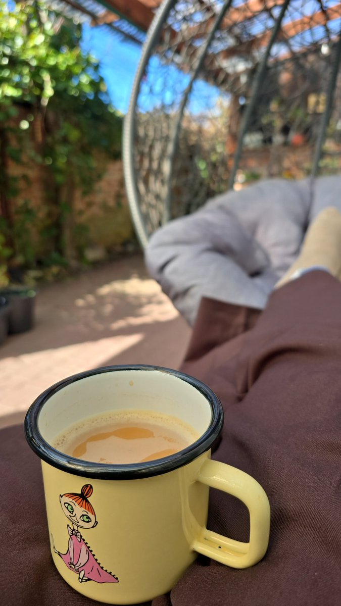 Kot Filemon tweet media