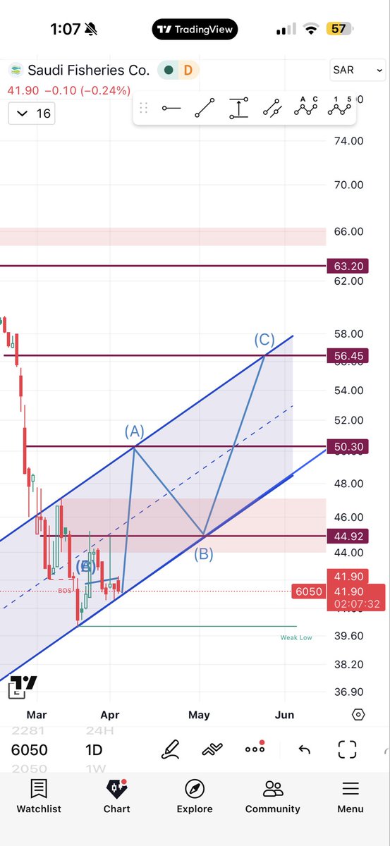 مستنير tweet media