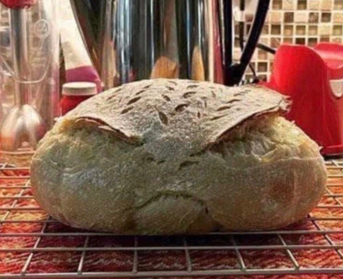 Cary Kelly tweet media