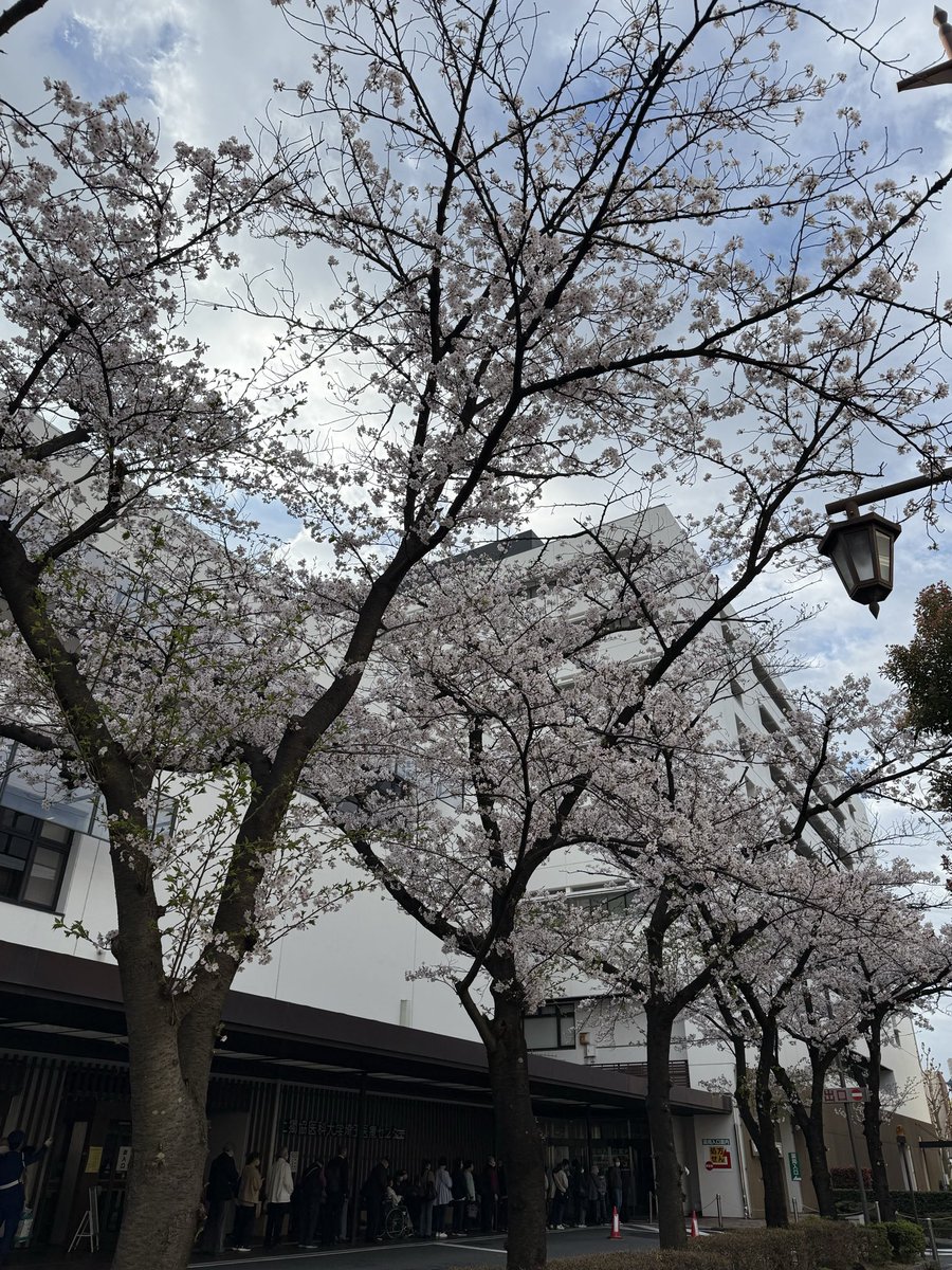 Kensuke Suzuki tweet media
