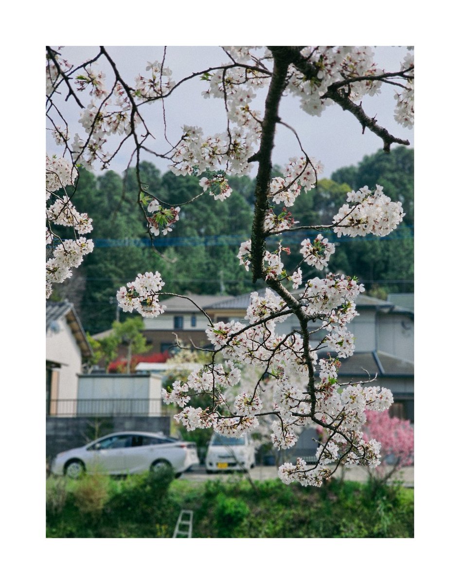 Tetsuji FUJINO | 藤野哲次 tweet media