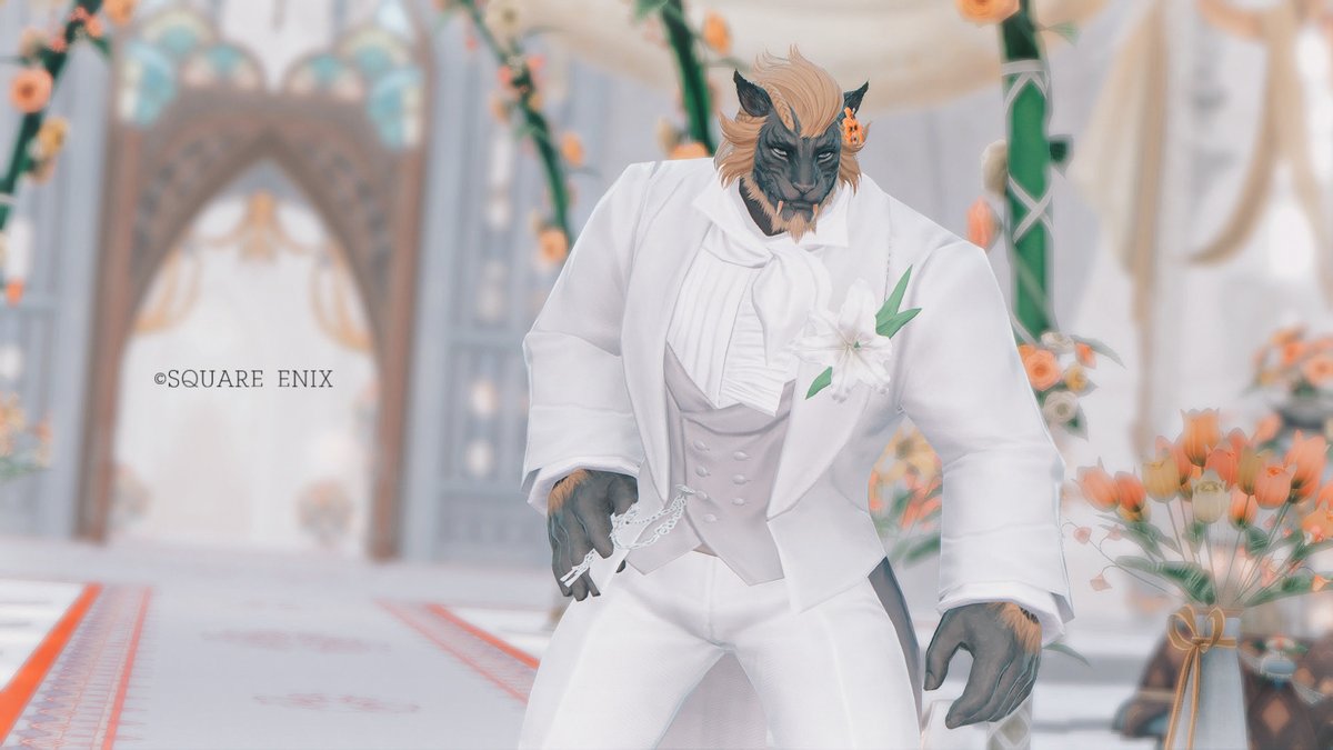 ﾚヵ゛ｺ🤚🏿＠🦁 tweet media