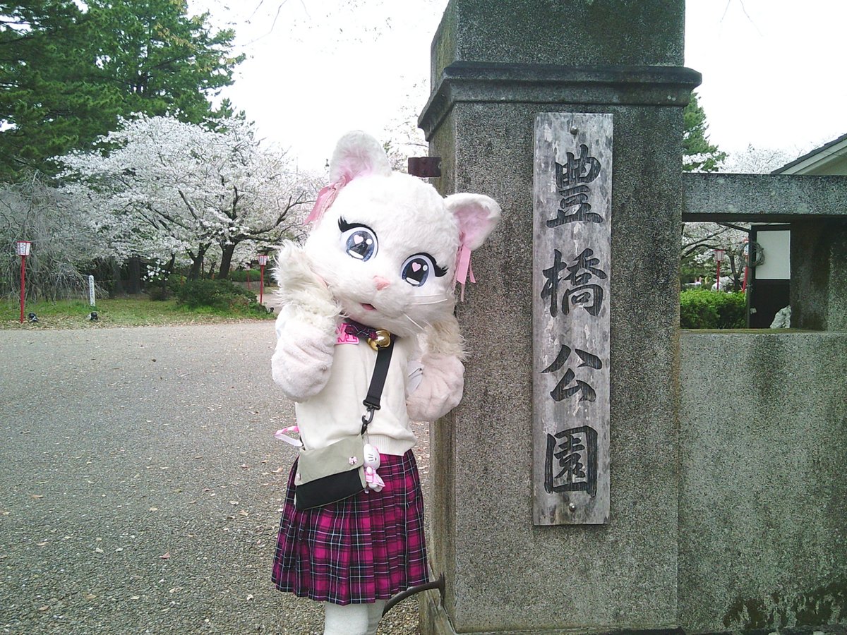 ミスティ日記♡ tweet media