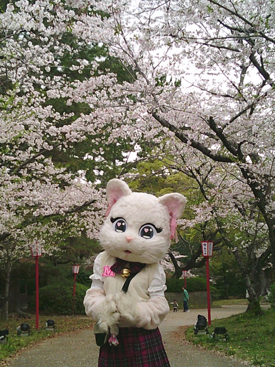 ミスティ日記♡ tweet media