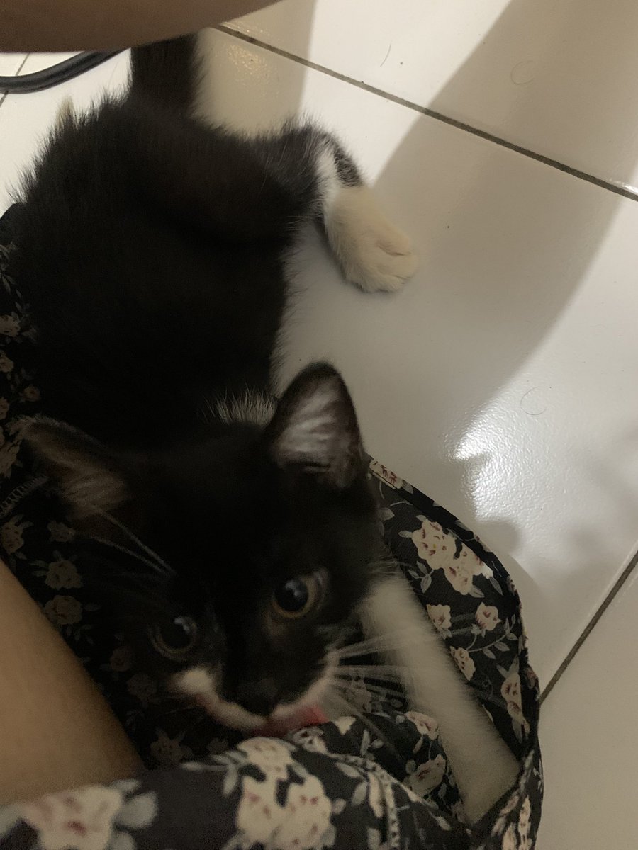 voidbible tweet media