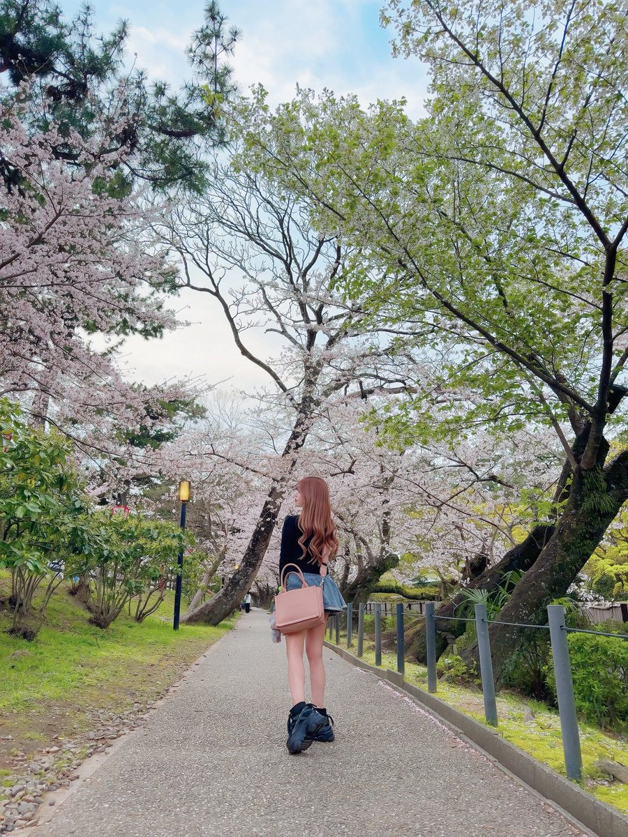 美南ありり🪽🫧 tweet media