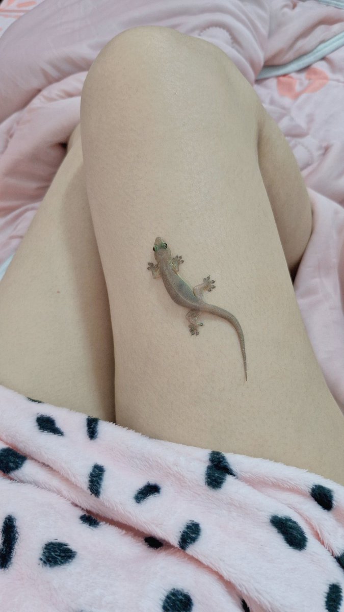 Lovely 🩷 tweet media