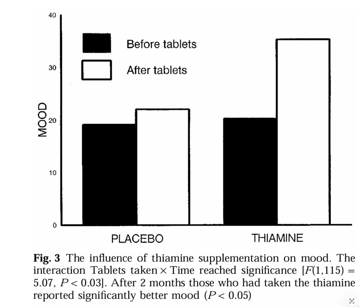 Metabolic Blueprint ⚡ tweet media