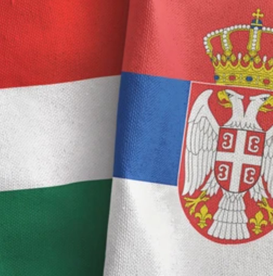 Global Dissident tweet media