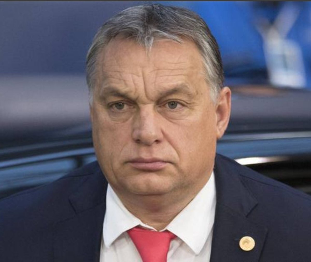 Global Dissident tweet media