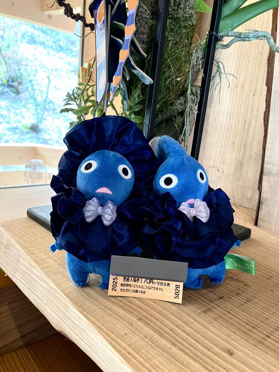 青海さばお tweet media