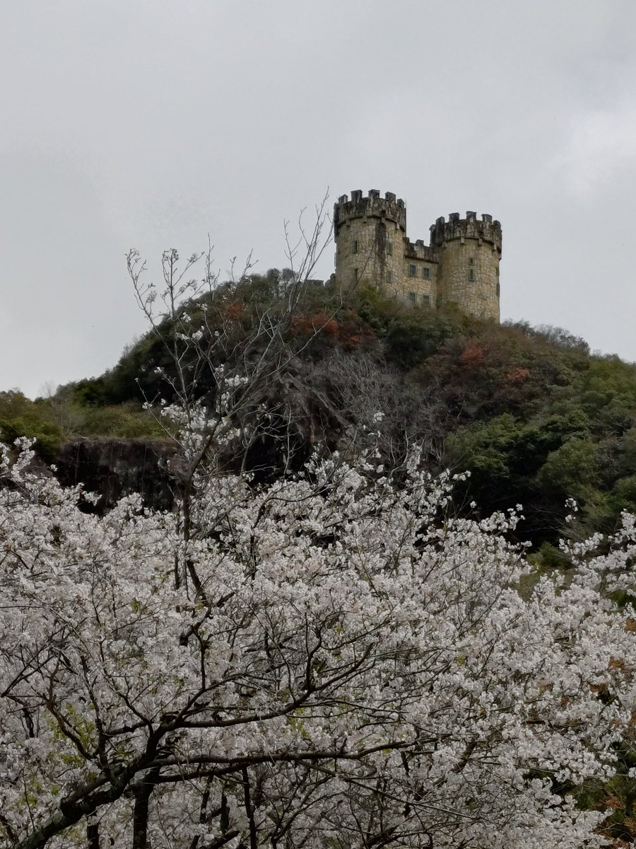 レオナルド☆くま tweet media