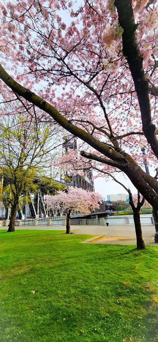 SAIMA AAMIR TAIMOUR (Gorgeous Pakistan) tweet media