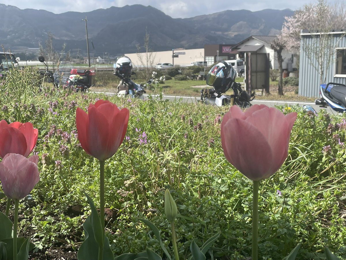 あーちゃん@Beans Rider tweet media