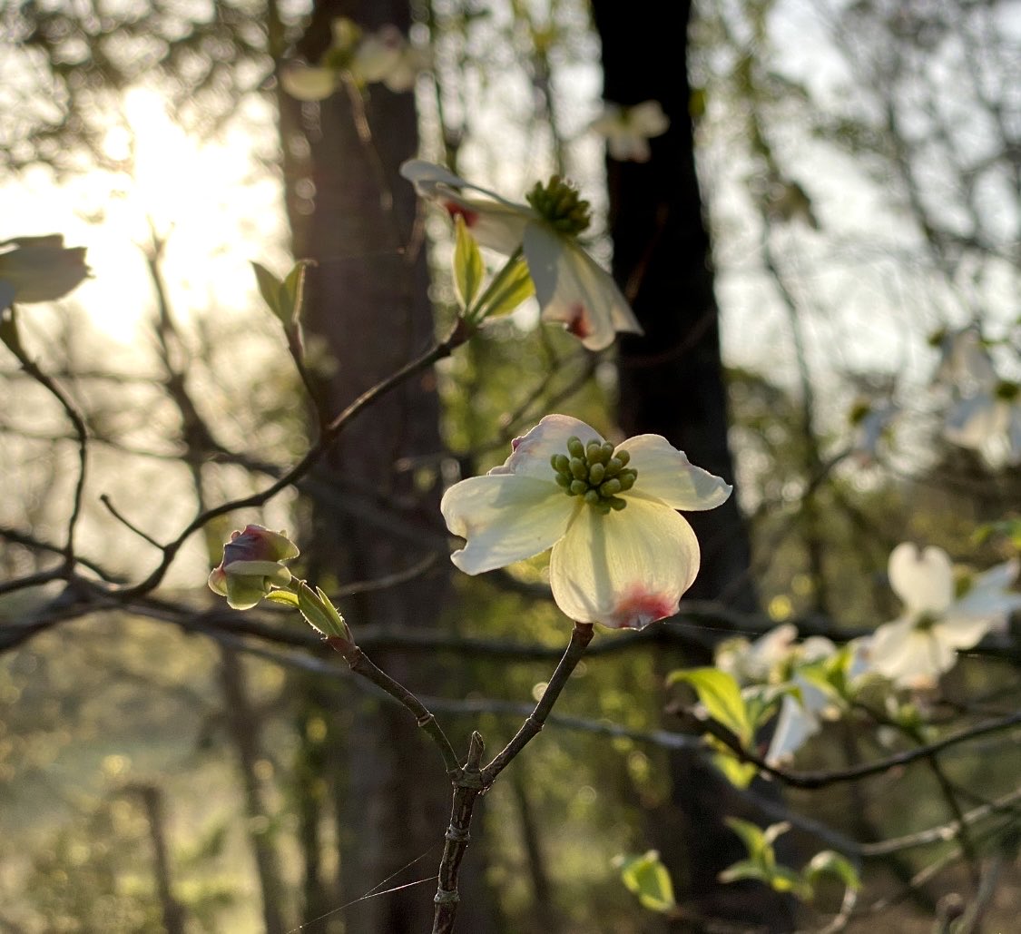 Suzy Starnes tweet media