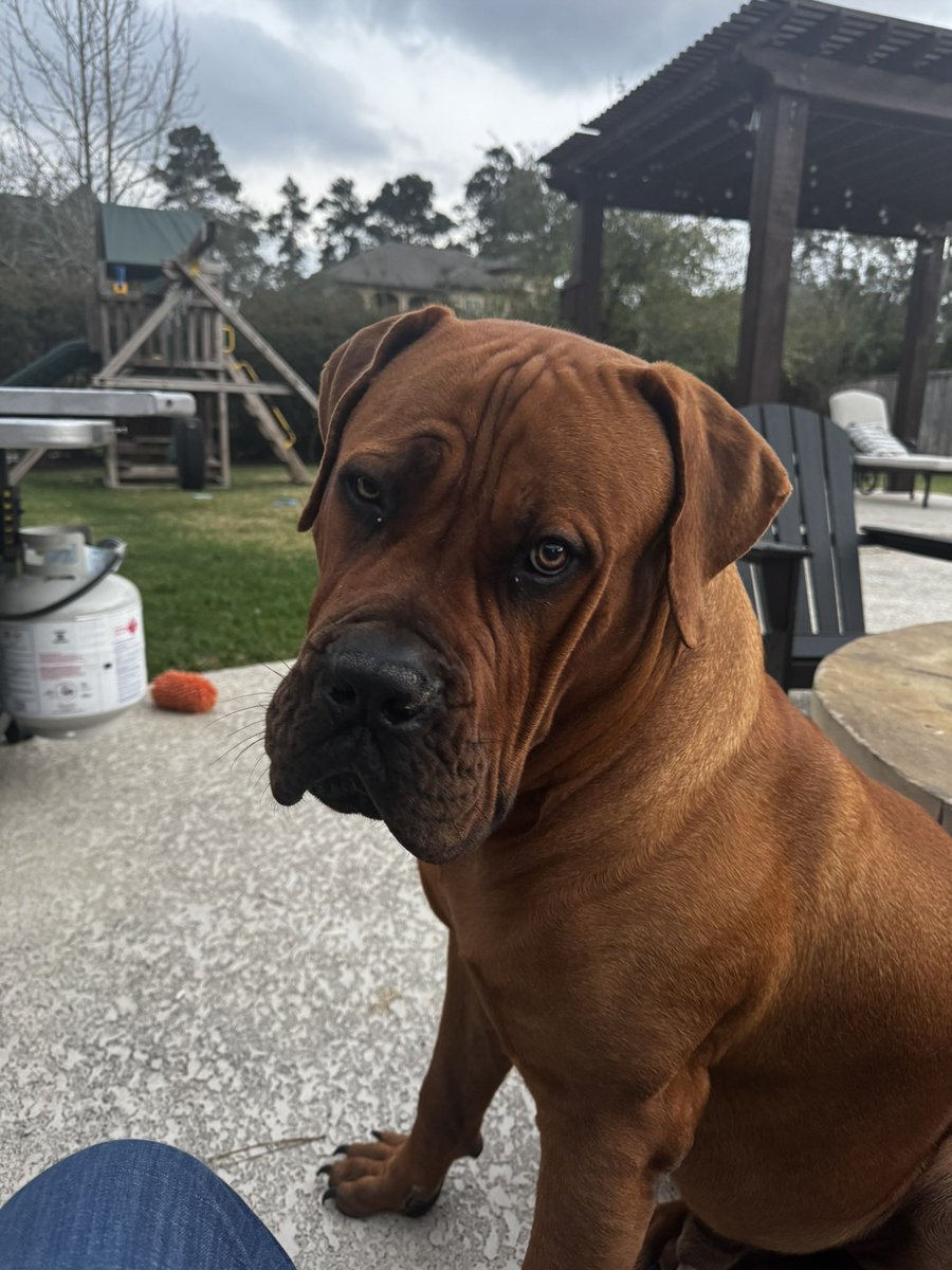 Peter "#LUKSO" 🆙 tweet media