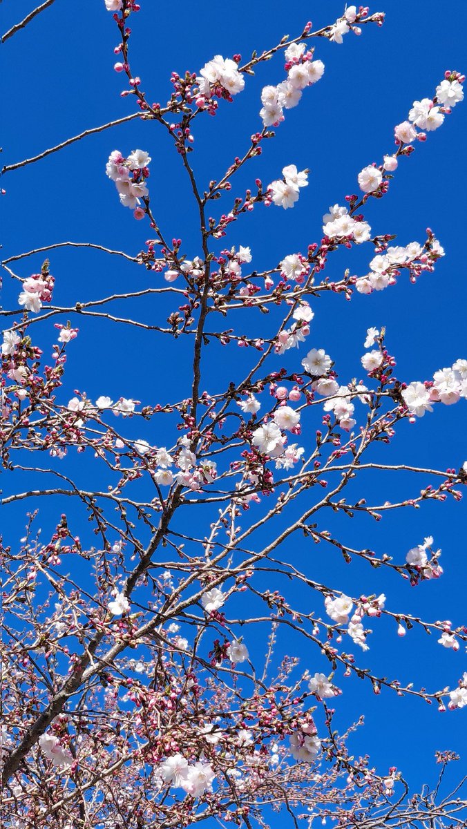 Ana Williams tweet media