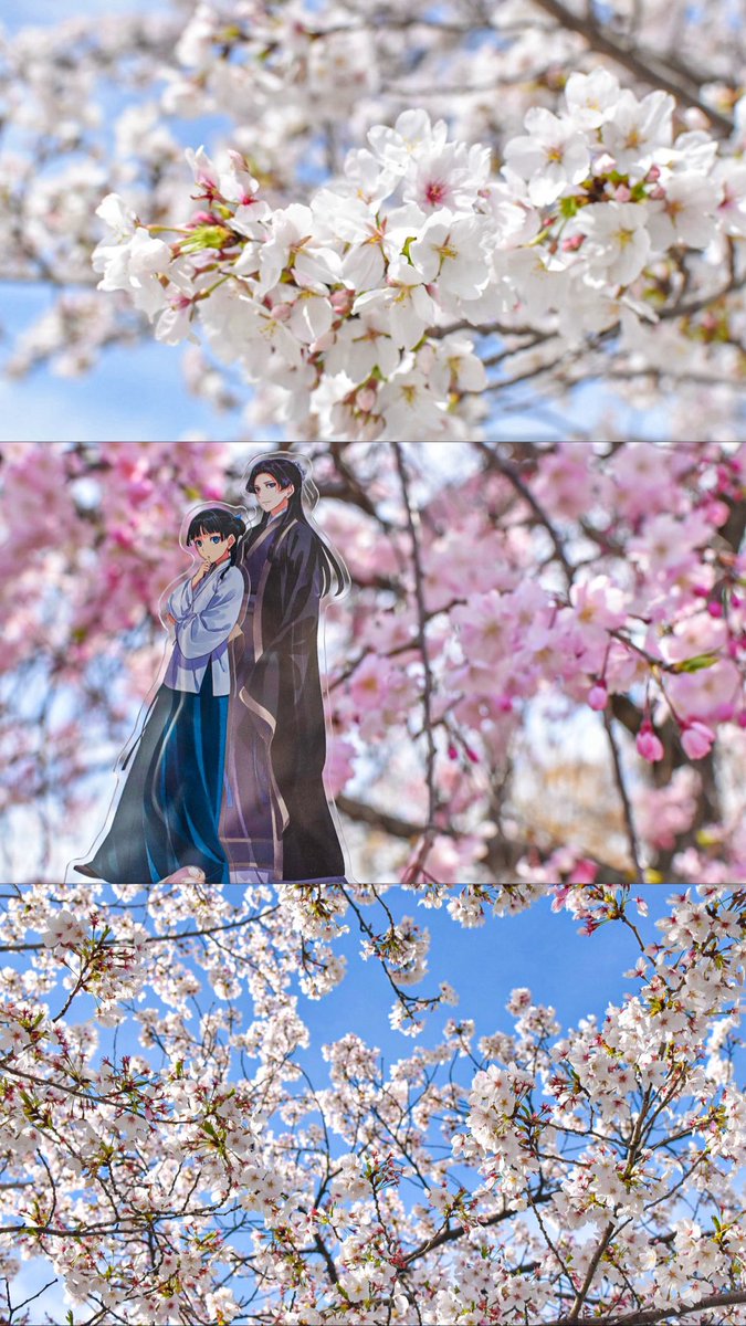 𝘱𝘰𝘯 tweet media