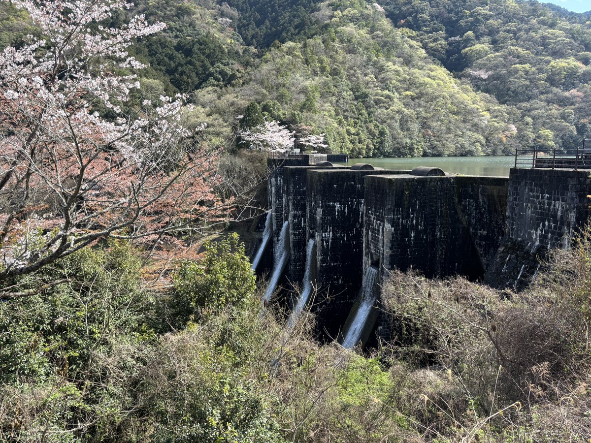 ぼっちk@淡路島 tweet media
